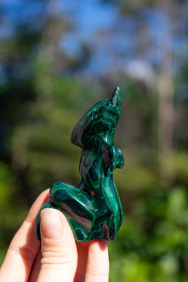 Malachite Dolphin